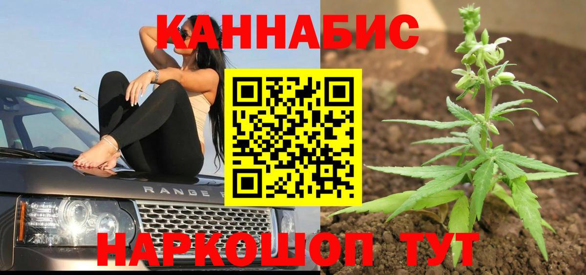 Бошки Шишки Ganja  Вход с VPN  МАРИХУАНА SATIVA & INDICA  Дубна  Марихуана сатива 